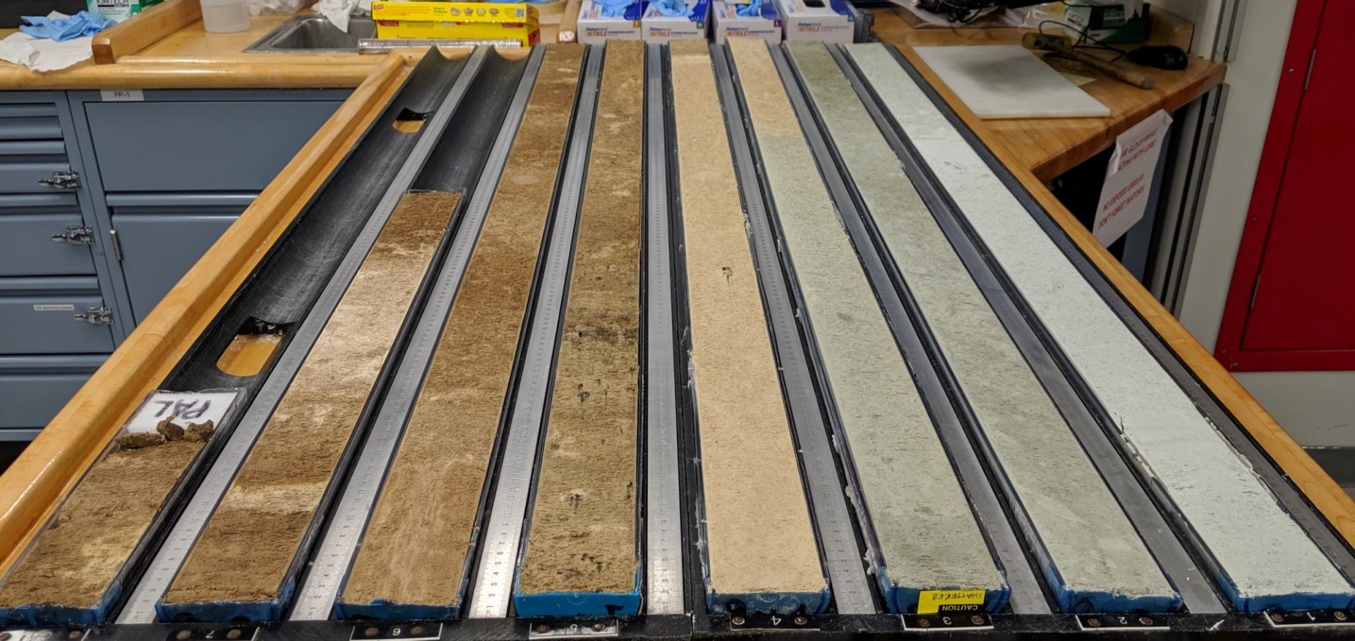 Sediment cores from the Pacific Southern Ocean (IODP Expedition 383)