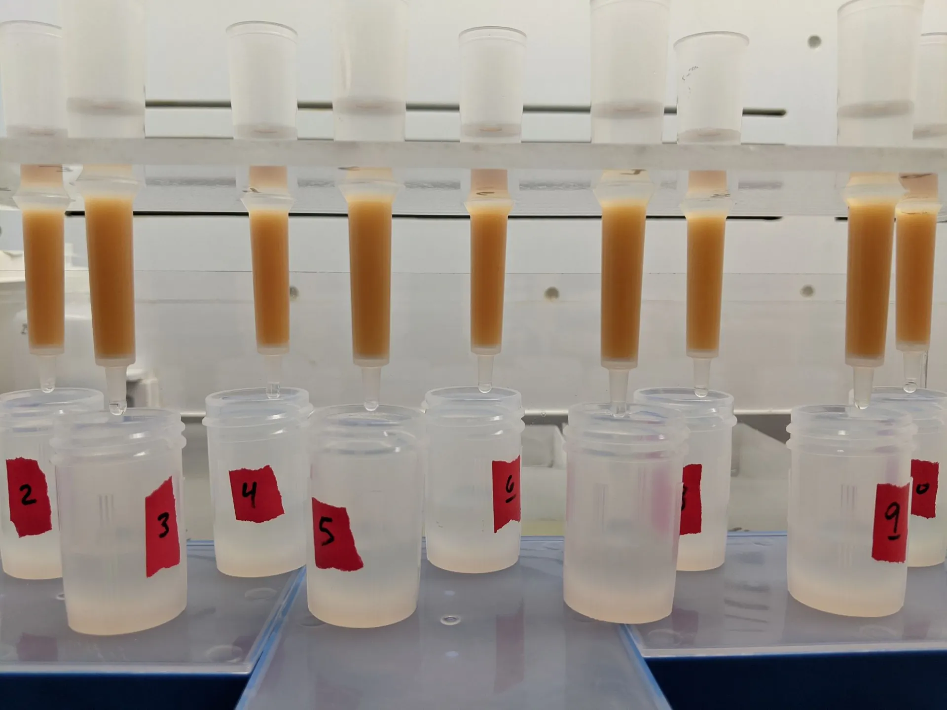 Labphotos Beakers.jpg