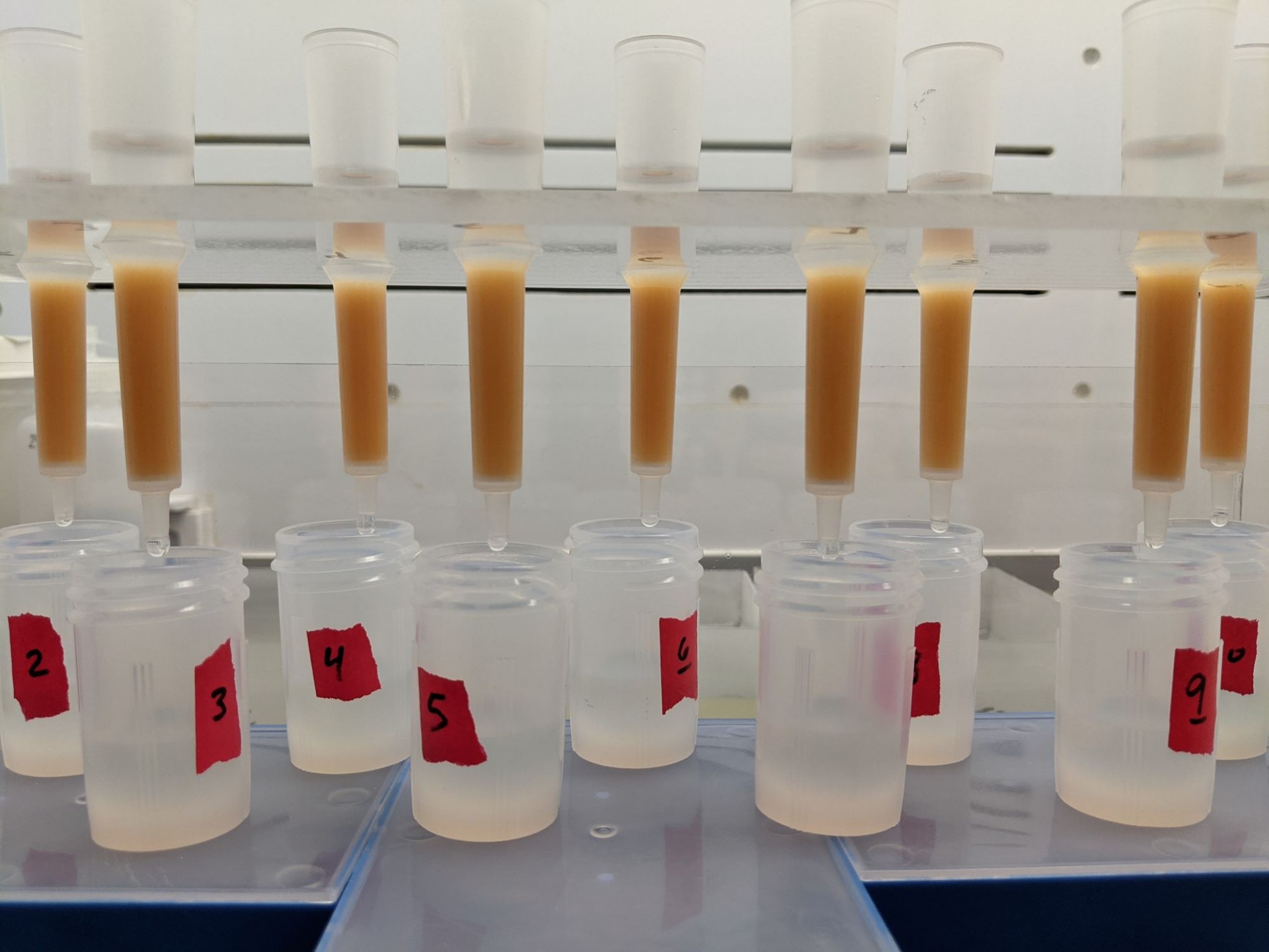 Labphotos Beakers